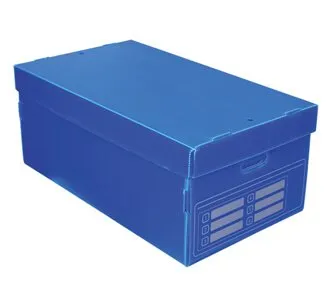 Archive Storage Carton